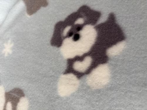 <img class='new_mark_img1' src='https://img.shop-pro.jp/img/new/icons1.gif' style='border:none;display:inline;margin:0px;padding:0px;width:auto;' />ʥ֥󥱥å