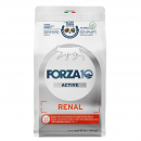 Forza10ʡ륢ƥ