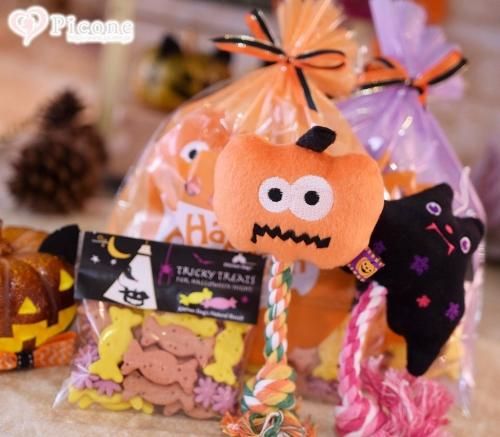 Piocne】Picone☆ハッピーハロウィンギフトセット2016 - ドッググッズ