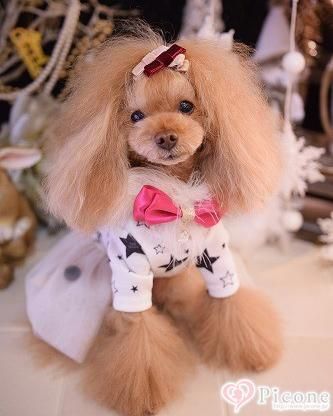 【BAAAL BASH DOG WEAR】ツィードファーワンピ BAAAL BASH DOG WEAR】LoveYuToo - ドッググッズ 通販/販売