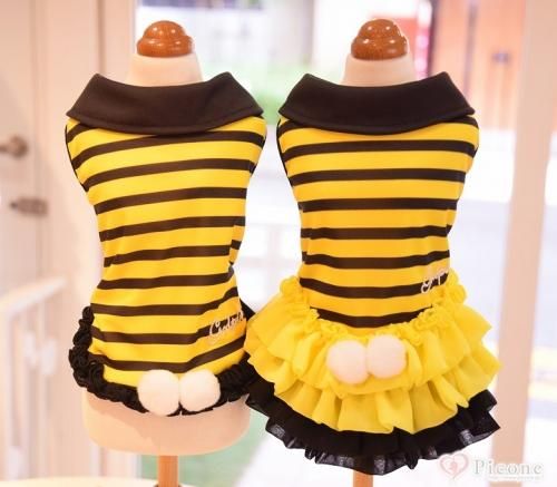GOD PIVA[ゴッドピバ]（ウエア） - ドッググッズ 通販/販売