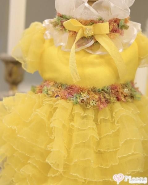 犬服【Étoiles（エトワール）】 Nicoleドレス picone（ピコネ