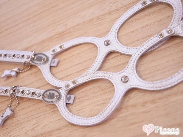 BUDDY BELT(バディベルト)MOONWALK(ムーンウォーク) - ドッググッズ ...