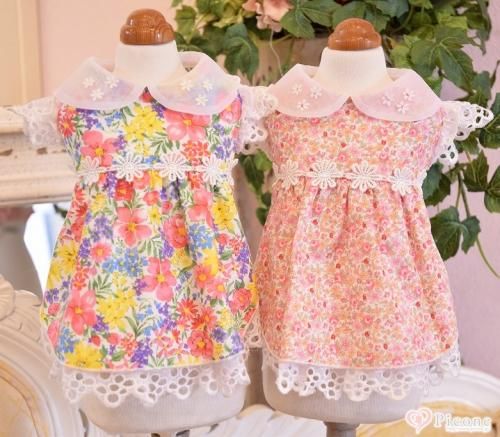 Luxe birdie[リュクスバーディ] - ドッググッズ 通販/販売