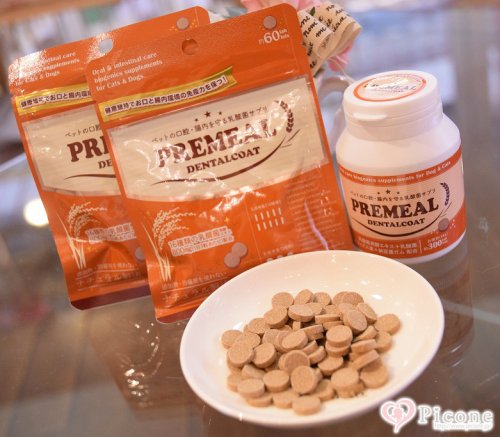 お口の乳酸菌サプリメント『PREMEAL（プレミール）・デンタルコート』 - ドッググッズ 通販/販売 プードルごはんの Picone（ピコネ）