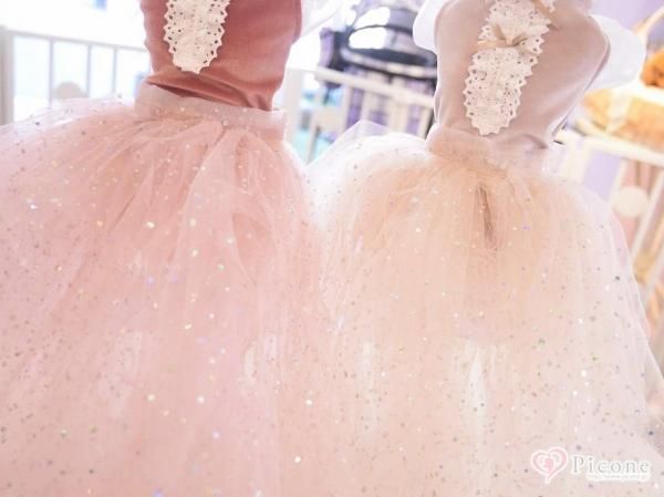 Picone×COO】ロングチュールパニエ version2 - ドッググッズ