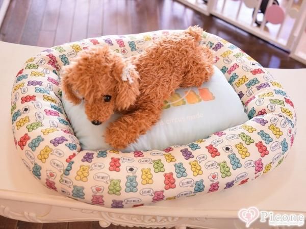 新品 LサイズGummy Bear COOL BED circuscircus www.linfo.re