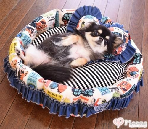 Candy Buppie キャンディブッピー　小型犬用 DB07E1AF-62BE-4514-8799-