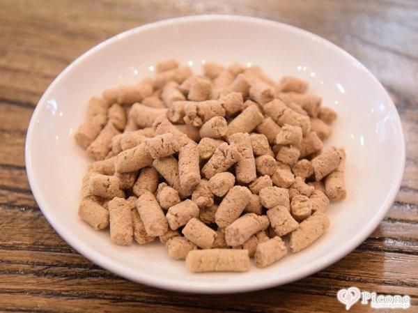 ドッグフード sora 神奈川県茅ヶ崎市のペットグッズ・ドッグフード専門店SOLAの