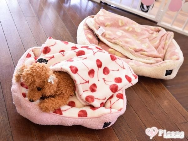 プチプラ☆チェリー柄ボアブランケット - ドッググッズ 通販/販売
