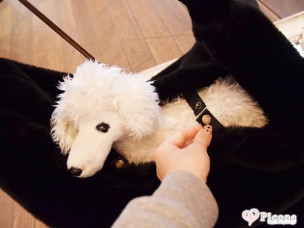 THEfancys】kittyリボン☆ファースリング - ドッググッズ 通販/販売 プードルごはんの Picone（ピコネ）