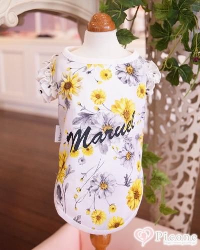 【picone×marvel】Teddybearワンピース 【マルベル】 Marvel[マルベル] - ドッググッズ 通販/販売 プードルごはんの