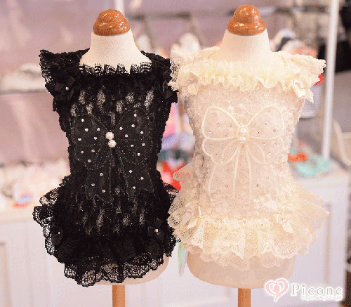 新品未使用ブルブブ BUL BU-BU Sparkle Camellia Tee OUTLET｜ドッグブティック・ブルブブ