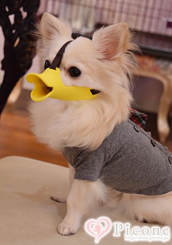 OPPO】 quack（クァック）犬用口輪 NEWSSサイズ - ドッググッズ 通販