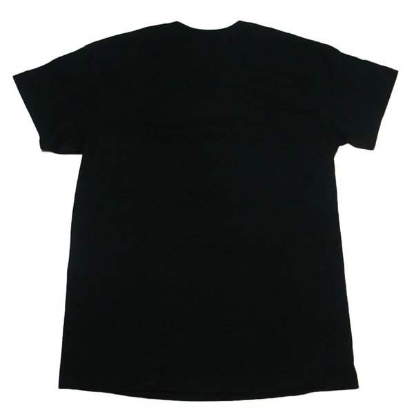 BAD BRAINS(バッド ブレインズ) CAPITOL Tシャツ - SEEKu0026DESTROY シーク アンド デストロイ オフィシャルサイト