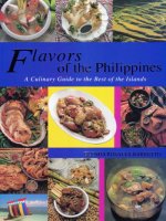Flavors of the Philippines - a culinary guide to the best of islands