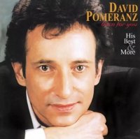 David Pomeranz / Born For You His Best & More (アナログ盤 / LP)