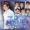 V.A / Top Male OPM Hits
