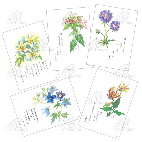 みことばハガキ　夏の花セット（5枚入り）｜キリスト教グッズ･聖品販売｜Shop Pauline女子パウロ会オンラインショップ通販