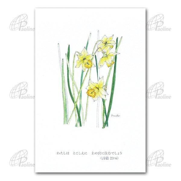ポストカード 水仙｜ハガキ｜キリスト教グッズ・聖品販売｜Shop