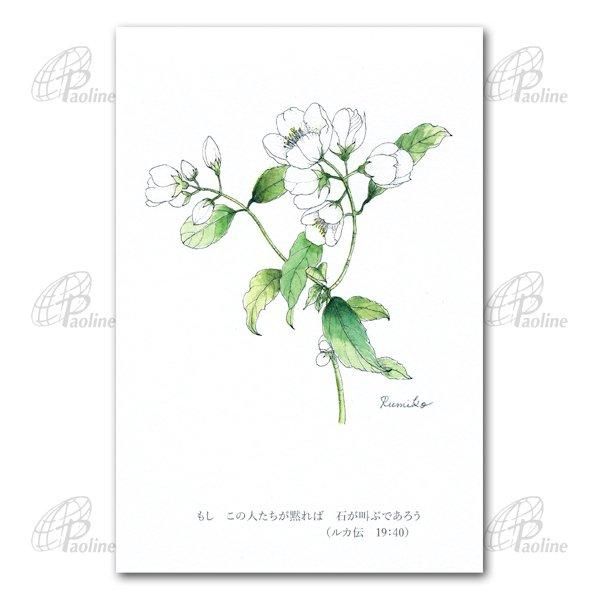イシヅカユウ　ハガキ ポストカード 利休梅｜ハガキ｜キリスト教グッズ・聖品販売｜Shop