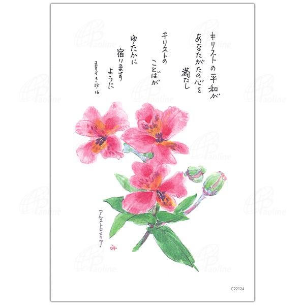 数量限定セール  みことばはがき C22124アルストロメリア（10枚セット その他