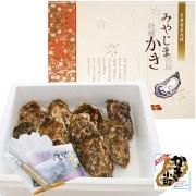 殻付かき「大一粒かき小町」20個 化粧箱入 - 牡蠣の販売・通販 殻付かき「大一粒かき小町」20個 化粧箱入 - 牡蠣の販売・通販