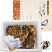 殻付かき「大一粒かき小町」20個 化粧箱入 - 牡蠣の販売・通販 殻付かき「大一粒かき小町」20個 化粧箱入 - 牡蠣の販売・通販