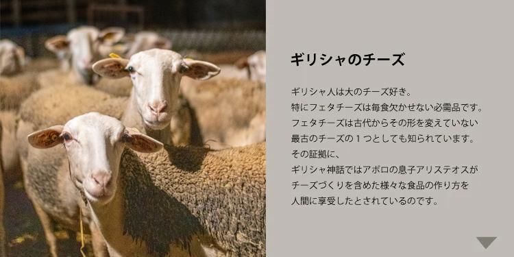 ギリシャのチーズとは