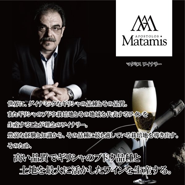 マタミス ブリュット スパークリングワイン 2009 (白)