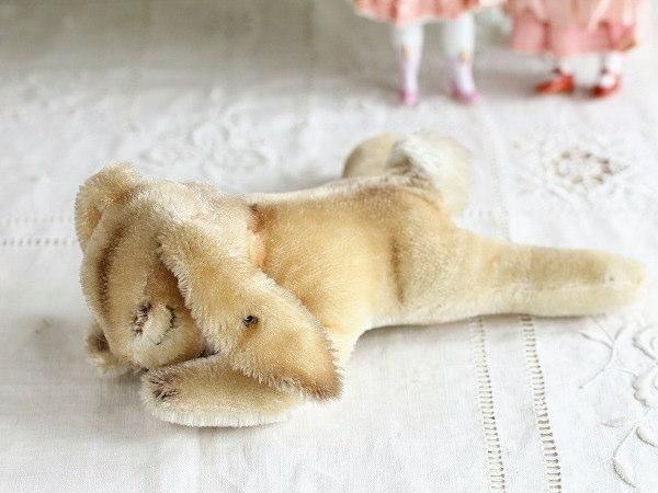 ƥ奿դ̲ꤦFloppyܥʤ