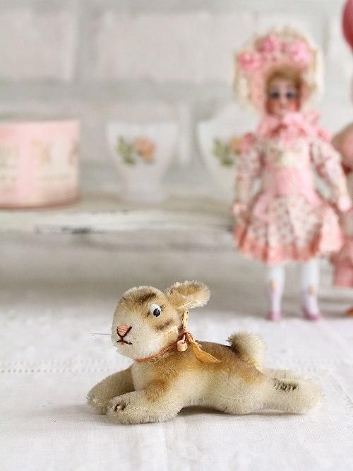 ƥ奿տ٤ꤦLying Rabbit