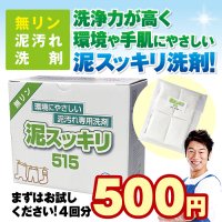 <img class='new_mark_img1' src='https://img.shop-pro.jp/img/new/icons31.gif' style='border:none;display:inline;margin:0px;padding:0px;width:auto;' />【送料無料】泥スッキリ５１５お試し【初回限定】