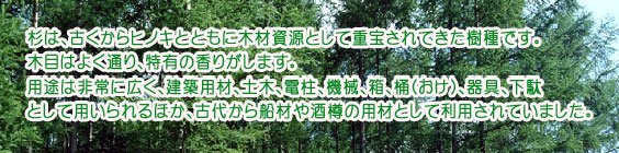 熊野杉、国産材、間伐材