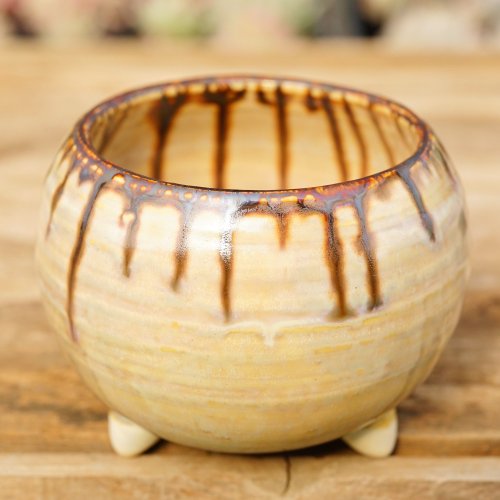 EARTH PIECE CRAFT 陶器鉢(SABOTENTARO.COM別注) - SABOTENTARO.COM