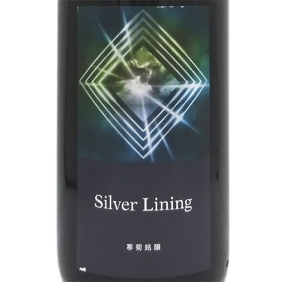  Silver Lining 2024  29 ̵ɲ 1800mlץء