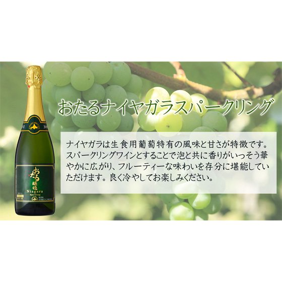 おたる ナイヤガラ スパークリング / 北海道ワイン 白 発泡 720ml 日本 国産ワイン スパークリングワイン - 酒楽ＳＨＯＰ