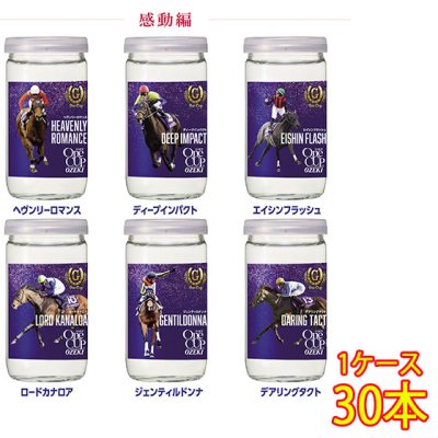 大関 上撰ワンカップ G-OneCup 感動編 180ml 30本 兵庫県 大関酒造 日本酒 ケース販売 本州のみ送料無料 - 酒楽ＳＨＯＰ