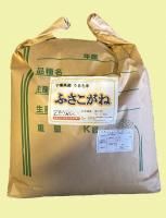 <img class='new_mark_img1' src='https://img.shop-pro.jp/img/new/icons1.gif' style='border:none;display:inline;margin:0px;padding:0px;width:auto;' />£ǯٻոƤդͣ