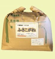 <img class='new_mark_img1' src='https://img.shop-pro.jp/img/new/icons1.gif' style='border:none;display:inline;margin:0px;padding:0px;width:auto;' />£ǯٻոƤդͣ