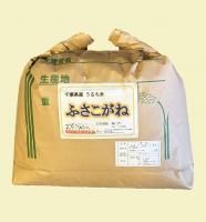 <img class='new_mark_img1' src='https://img.shop-pro.jp/img/new/icons1.gif' style='border:none;display:inline;margin:0px;padding:0px;width:auto;' />£ǯٻոƤդͣ