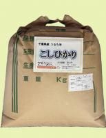 <img class='new_mark_img1' src='https://img.shop-pro.jp/img/new/icons1.gif' style='border:none;display:inline;margin:0px;padding:0px;width:auto;' />£ǯٻոƤҤꣲ0