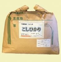 <img class='new_mark_img1' src='https://img.shop-pro.jp/img/new/icons1.gif' style='border:none;display:inline;margin:0px;padding:0px;width:auto;' />£ǯٻոƤҤ꣱