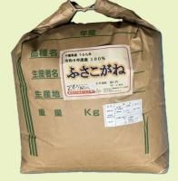 <img class='new_mark_img1' src='https://img.shop-pro.jp/img/new/icons17.gif' style='border:none;display:inline;margin:0px;padding:0px;width:auto;' />£ǯٻƤդͣ