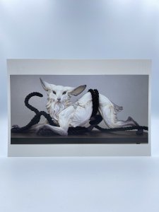 Human and Animal 展 ポストカード 「Beth Cavener ”シャドーパートナー”」