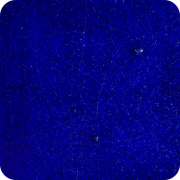 CS顔料　107　青　100g