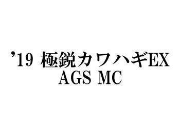 ダイワ '19 極鋭カワハギEX AGS MC - フィッシングショップ オンリーワン