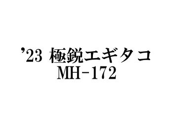 ダイワ ’23 極鋭エギタコ MH-172 - フィッシングショップ オンリーワン