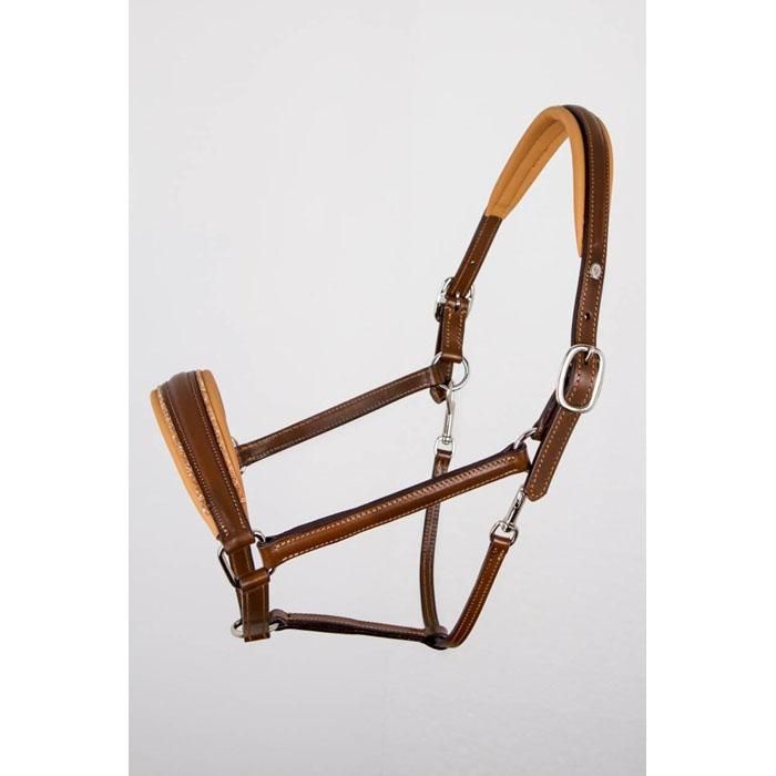 乗馬用品 LeMieux 無口 リードロープ付き cardiologiaintegrada.com.br