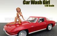 ꥫ󥸥 ե奢 Car Wash Girl СХ 118